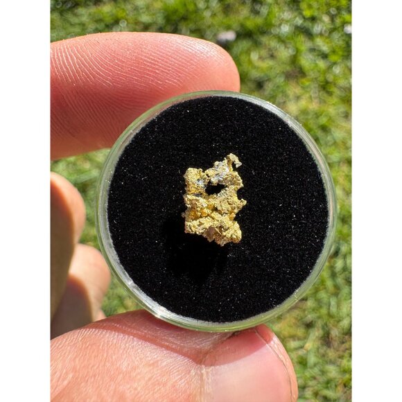 California Gold Crystal - 0.44 grams - Picture 5 of 5